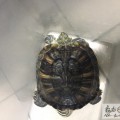 我的相冊